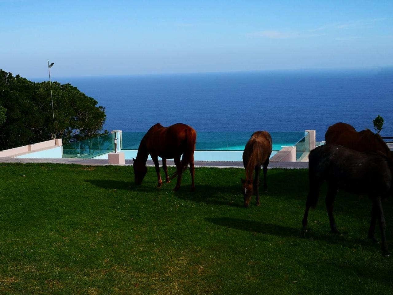 Tsitsikamma On Sea Resort Witelsbos Exteriér fotografie
